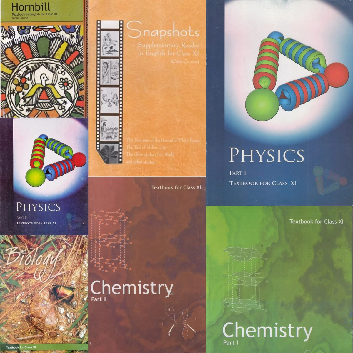 NCERT Class 11 / Class 11th PCB Set Combo | Physics Part 1 & 2, Chemistry Part 1 & 2, Biology (English Medium)