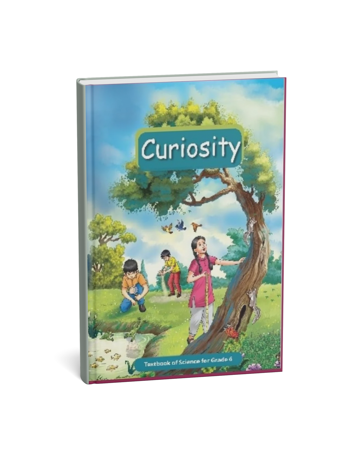 NCERT Curiosity – Textbook of Science for Grade 6 (English Medium)