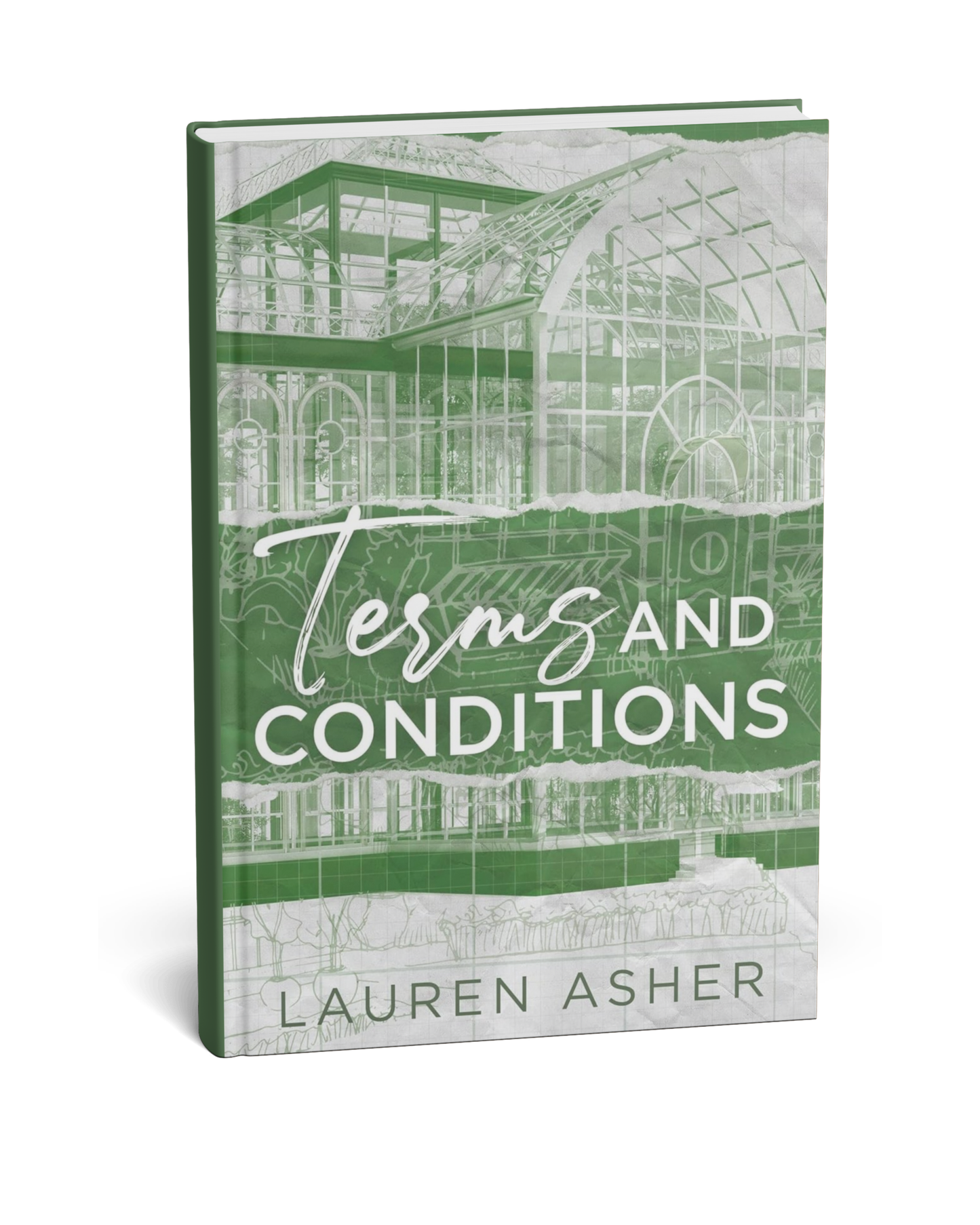 Terms and Conditions By Lauren Asher (English Novel)