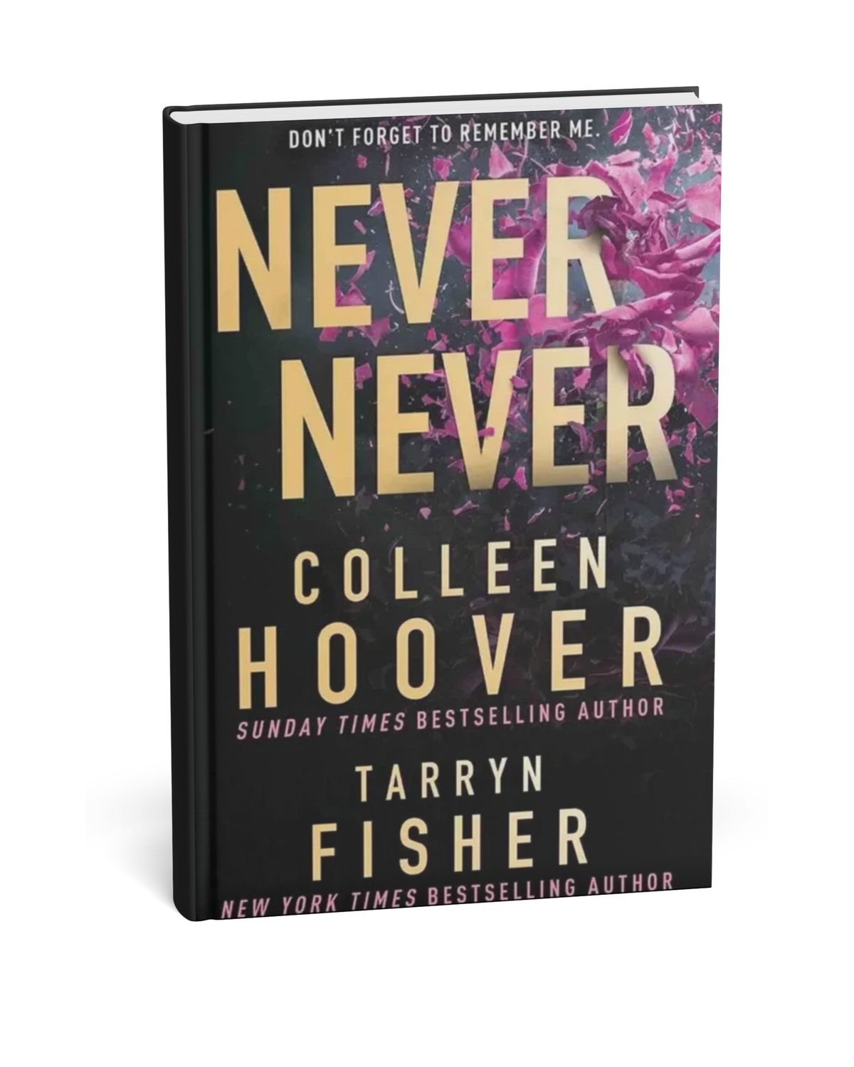 Never Stop Never Forget By colleen hoover (English Novel)