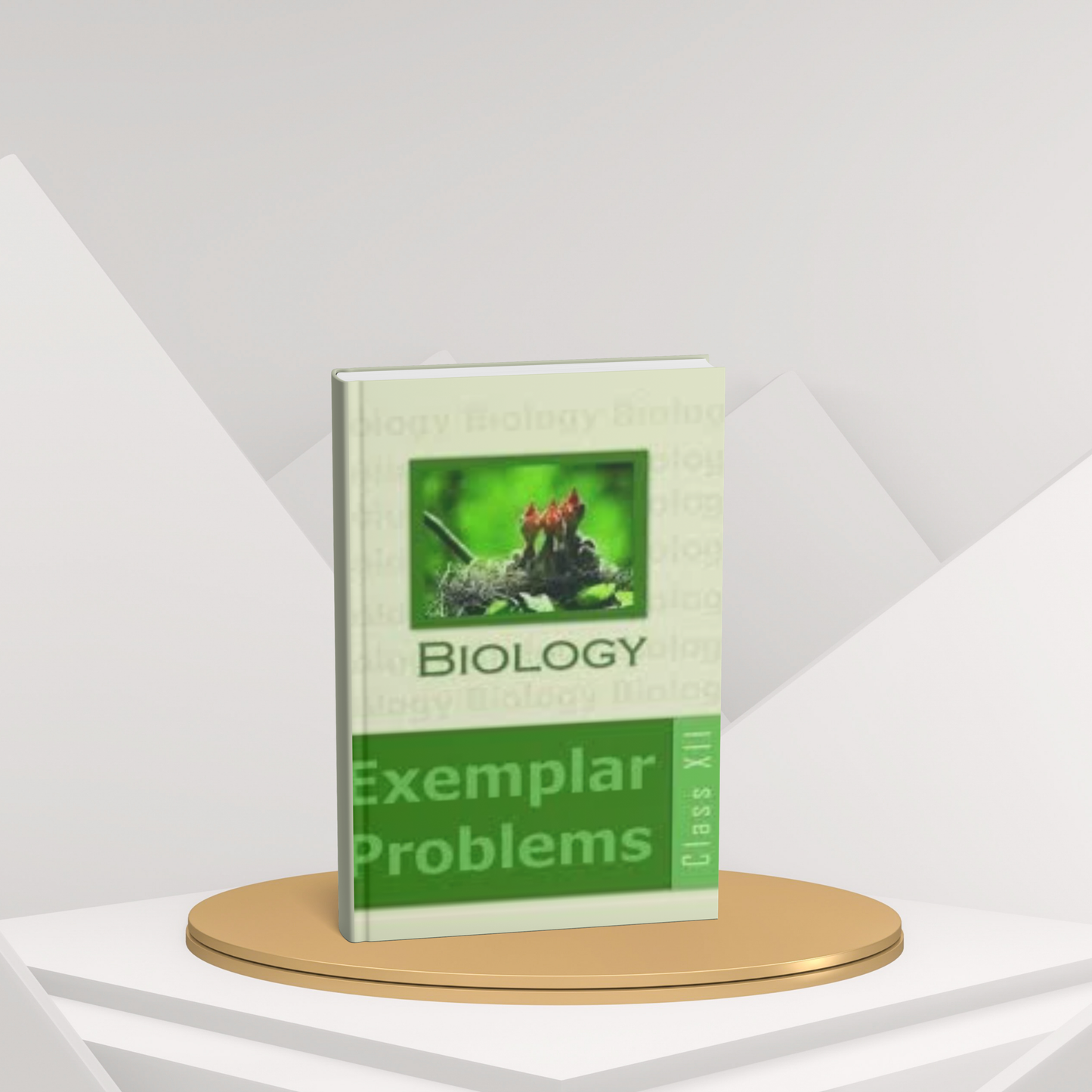 NCERT Biology Exemplar Problems – Class 12th (English Medium)