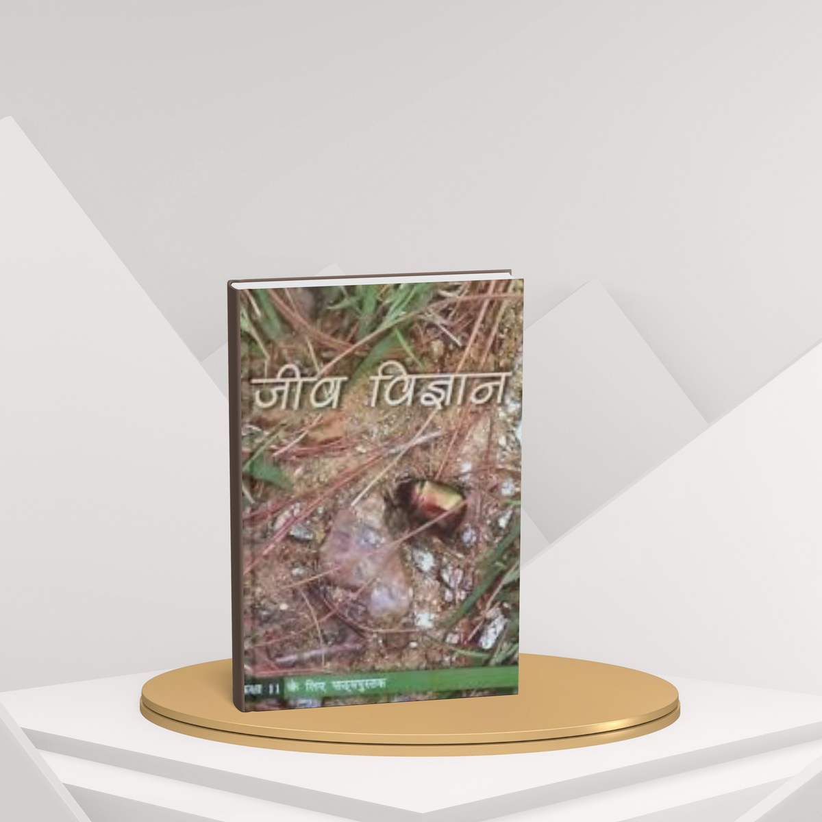 NCERT Jeev Vigyan – Class 11 (Hindi Medium)