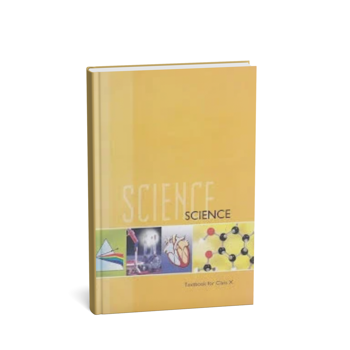 NCERT Science Class 10 (English Medium)