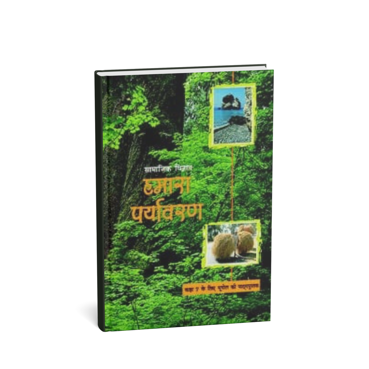 NCERT Hamara Paryavaran – Class 7 (Hindi Medium)